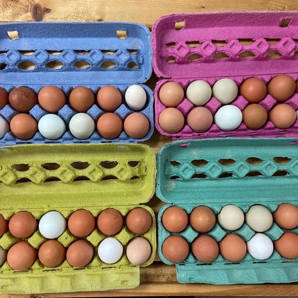 Pasture-raised eggs in cartons